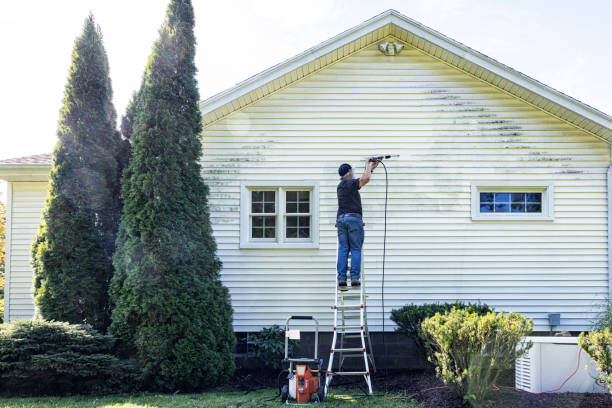Best Roof Cleaning and Mildew Removal in Rockwell, NC