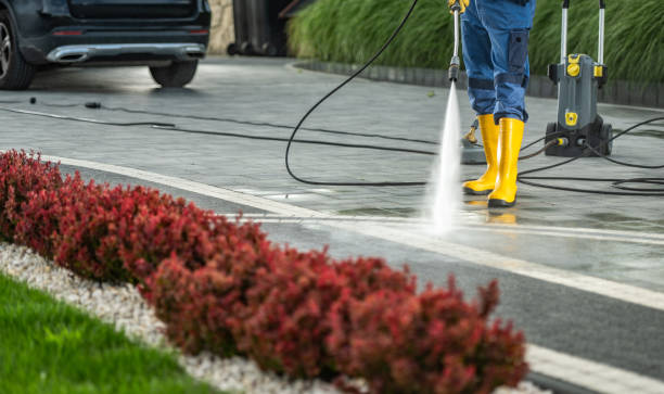 Best Driveway Cleaning and Restoration in Rockwell, NC